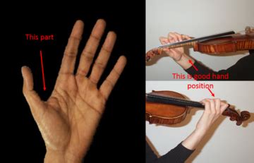 How to Do Vibrato on a Violin | Violin, Violin lessons, Violin teaching