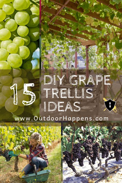 15 Sturdy Grape Vine Trellis Design Ideas for Your Backyard Arbor - Outdoor Happens