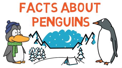 100 Fun Facts About Penguins