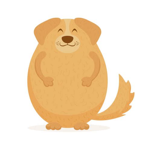 Fat Dog Illustrations, Royalty-Free Vector Graphics & Clip Art - iStock