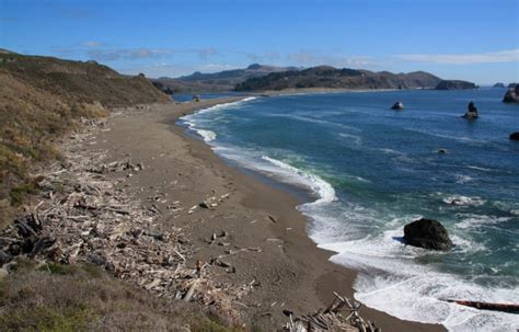 Jenner Beach (Driftwood Beach) in Jenner, CA - California Beaches