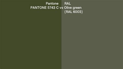 Pantone 5743 C vs RAL Olive green (RAL 6003) side by side comparison