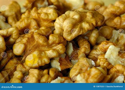 Shelled walnuts stock image. Image of shelled, brown, natural - 1387533