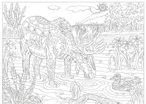 This will print on 11x17 just as nice as 8.5x11 | Dragon coloring page, Zen colors, Barn owl