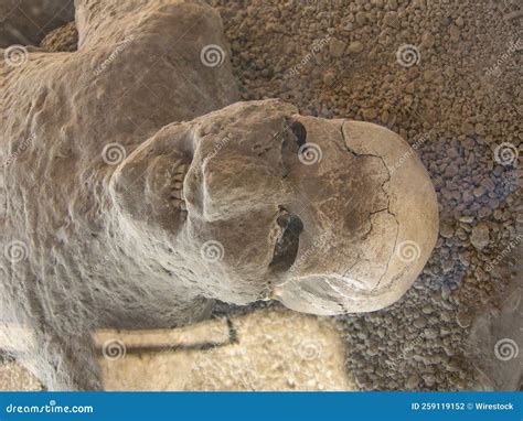 Preserved Bodies at the Historical City of Pompeii Naples, Italy Editorial Photography - Image ...