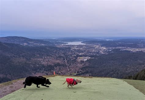 Poo Poo Point: Chirico Trail