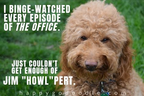 75 Dog Puns, Memes, & Doggo Lingo So Cute It'll Make You Say "P'AWWW" - Happy-Go-Doodle®