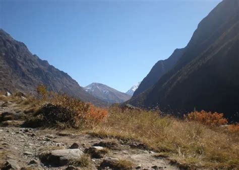 Langtang National Park Trekking - Tips | Itinerary | Checklist ...