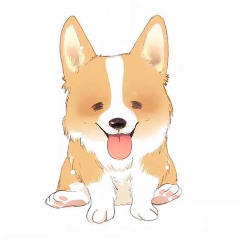 Ảnh Chó Cute Chibi ️ 75+ Hình Nền Chó Shiba Chibi, Anime Chó