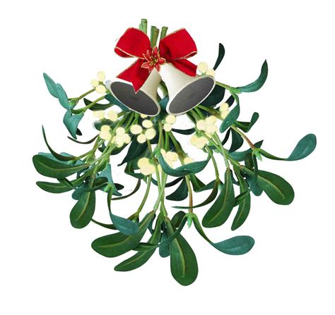 A Kiss Under The Mistletoe from Enhance the UK | Enhance the UK