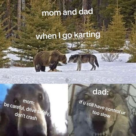 Karting | Staring Bear and Wolf | Know Your Meme