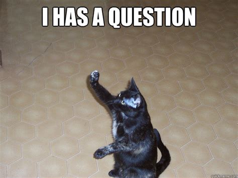 I has a question - Question Cat - quickmeme