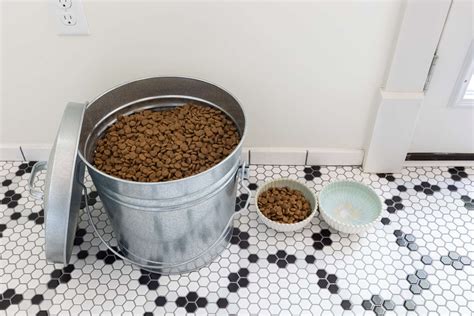 10 Dog Food Storage Ideas That Are Convenient Yet Stylish