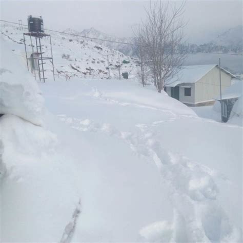 Snowfall comes down on Dhanaulti, Nainital, Auli, makes them twice as ...