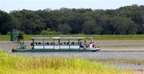 Myakka Wildlife Tours Directions, Information, Map | Must Do Visitor Guides