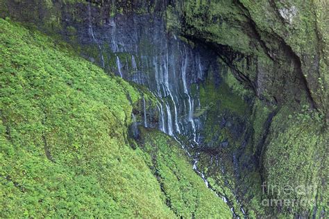 Weeping Wall of the Mount Waialeale Waterfalls in Kauai, Hawaii ...