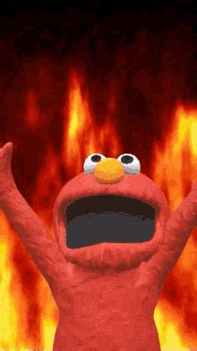 Elmo is on Fire GIFs | USAGIF.com