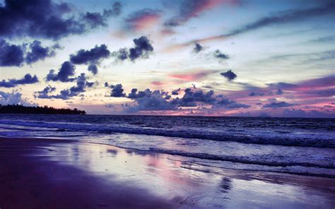 🔥 [30+] Purple Beach Wallpapers | WallpaperSafari