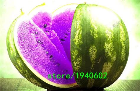 Rare Seeds Purple Flesh Watermelon Seeds Super Big Water Melon Seeds ...