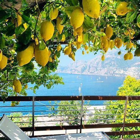 Amalfi Coast The Land Of Lemons Italy Italytour Sorrento Amalfi | The Best Porn Website