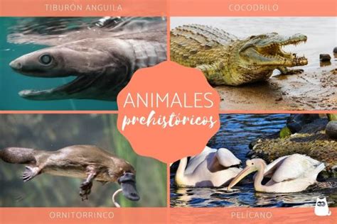 Animales prehistóricos - Características y ejemplos vivos y extintos ...