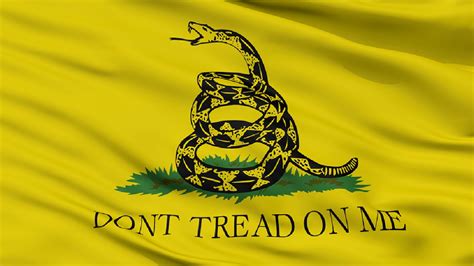 What is ‘Gadsden flag’? Meaning explained as Colorado student says teachers ‘not happy’ with his ...