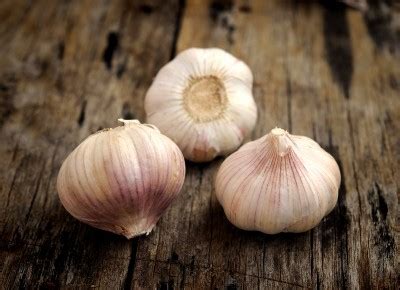 Black Garlic | Health Takes Guts®