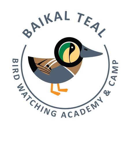 Baikal Teal - Bird Watching Academy