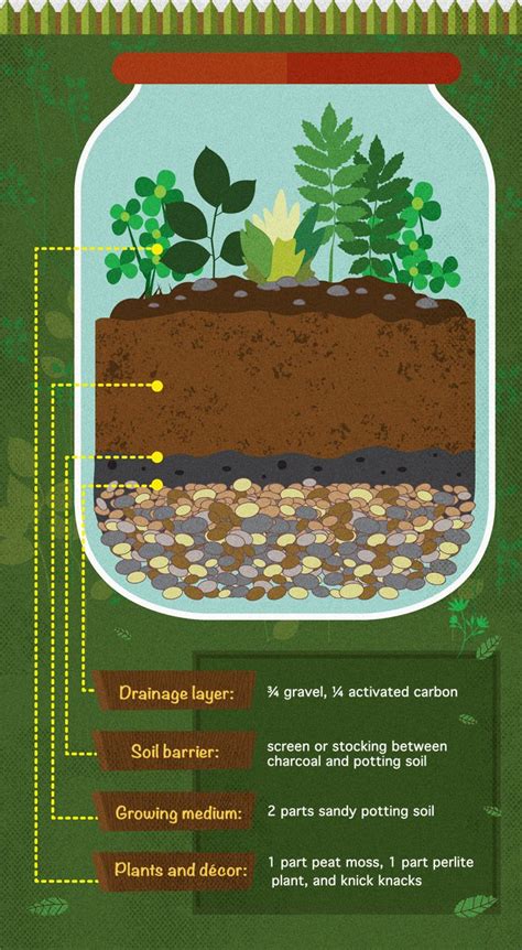 Terrarium Layers Diagram