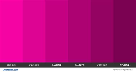 Pink shades. HEX colors #f603a3, #dd0393, #c50282, #ac0272, #940262, #7b0252. Brand original ...