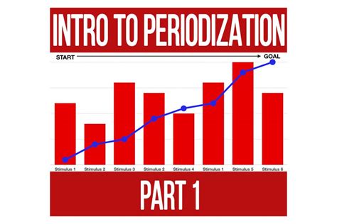 Intro to Training Periodization Part 2 - N1 Training