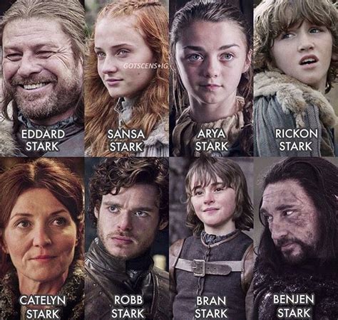 The House of Stark Game of Thrones... Game Of Thrones Poster, Got Game Of Thrones, Game Of ...