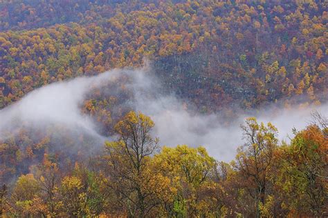 Swirling fog Photograph by Paul Laurenza - Fine Art America
