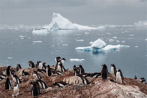 Antarctica is changing. The impact could be catastrophic