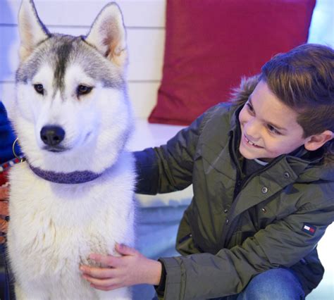 Happy howl-idays: Meet Santa and his huskies at Drusillas Zoo this ...