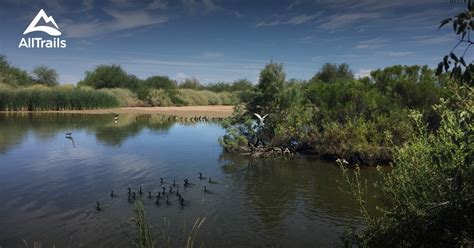 Best hikes and trails in Gilbert Riparian Preserve | AllTrails