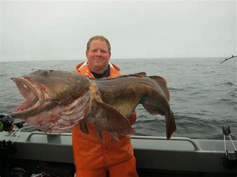 Todds Extreme Fishing: Neah Bay halibut, lingcod, & bottom fish!