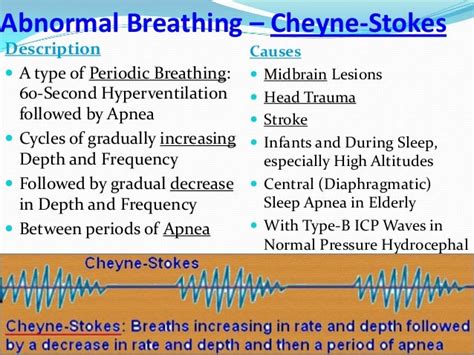 Neural Control of Respiration - Abnormal Breathing Patterns - Sanjoy