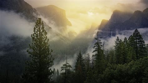 Beautiful Cloud Covered Trees And Mountain With Sunbeam 4K HD Nature Wallpapers | HD Wallpapers ...