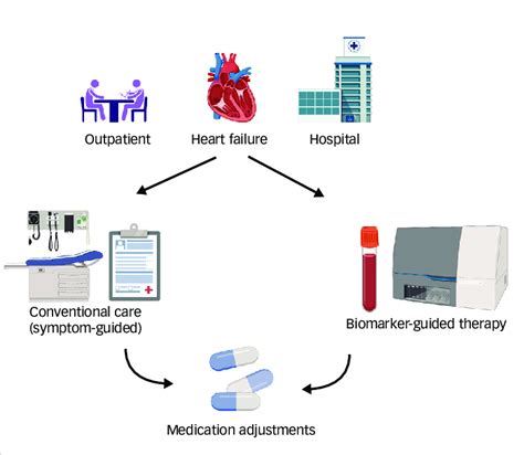 Conventional care versus natriuretic peptide-guided therapy in heart ...