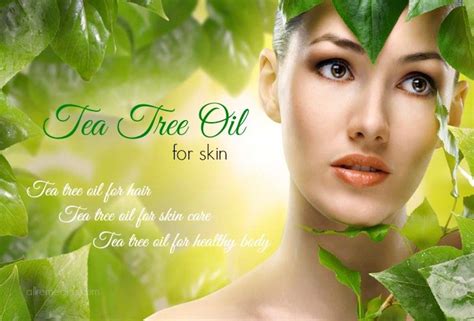 21 Benefits of Tea Tree Oil for Skin, Hair, and Health