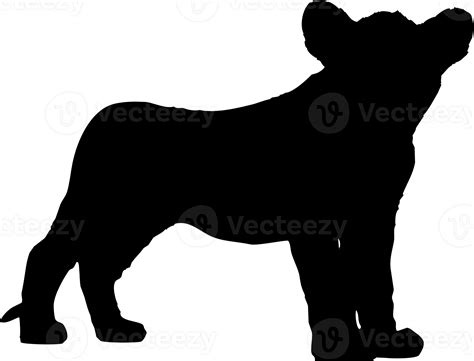 baby lion silhouette 23392118 PNG