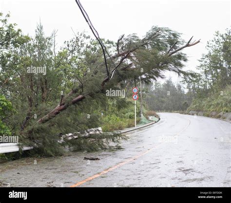 Typhoon damage hi-res stock photography and images - Alamy