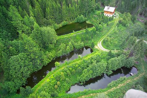 How to Set up a Permaculture Farm in 9 Steps - Permaculture Apprentice