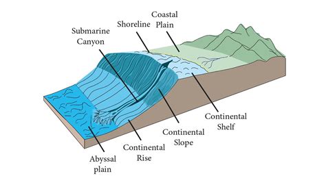 Relief features of Ocean - civilspedia.com