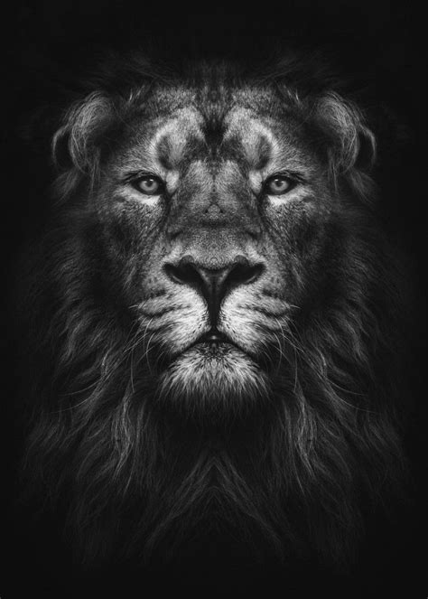 Lion Of Judah, Lion King, Painting Prints, Wall Art Prints, Lion Tattoo ...