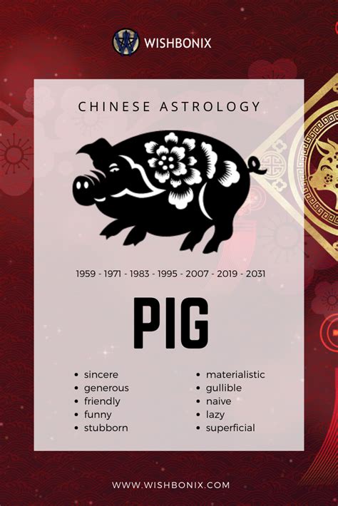 Pig - Chinese Astrology and Zodiac Sign | Chinese astrology, Chinese ...