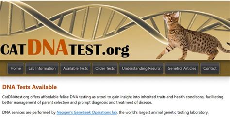 Cat DNA Test - Affordable DNA Testing for Cats Health Condition, Breed