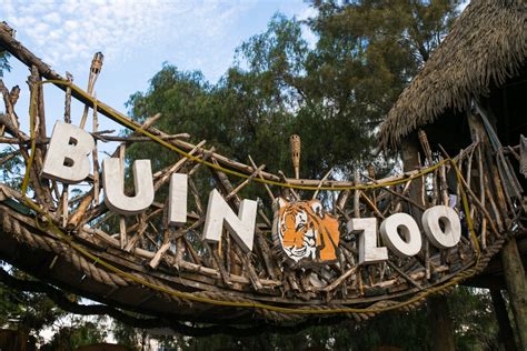 Buin Zoo reabre justo a tiempo para las vacaciones de invierno