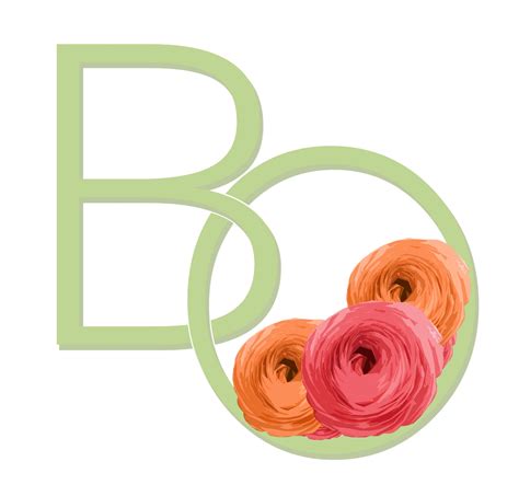 bo logo copy – Bright Occasions